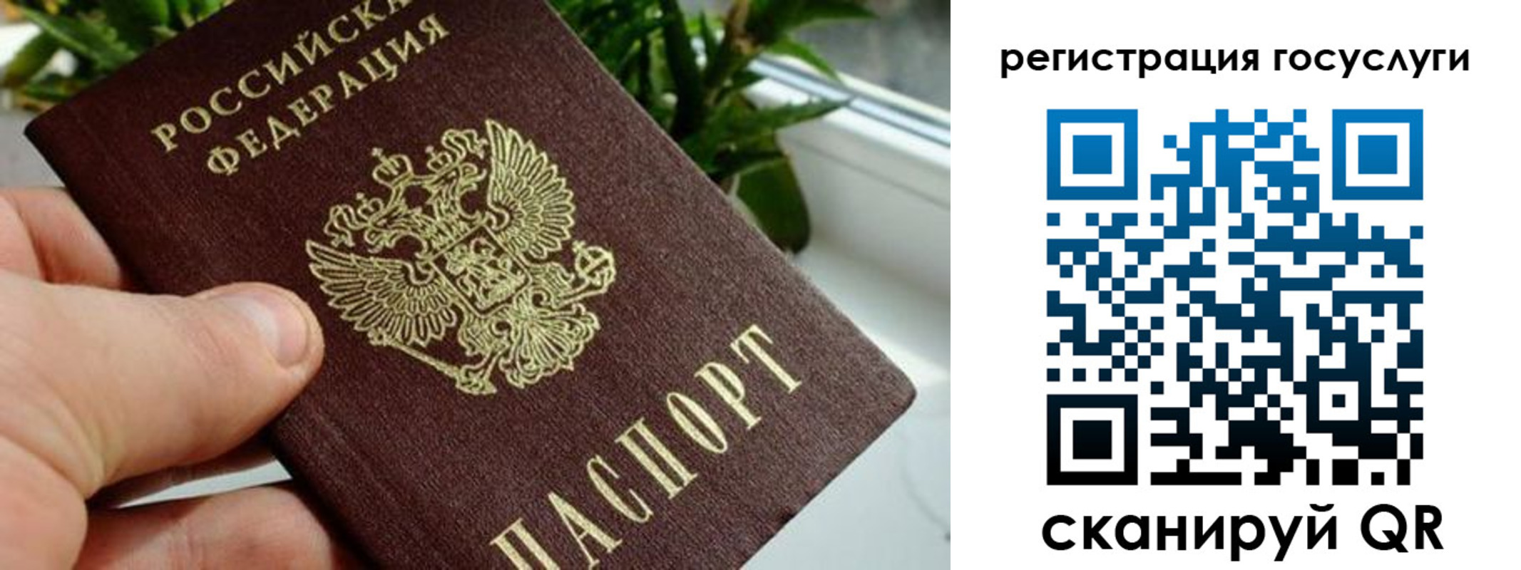 прописка для кредита в Владимирской области