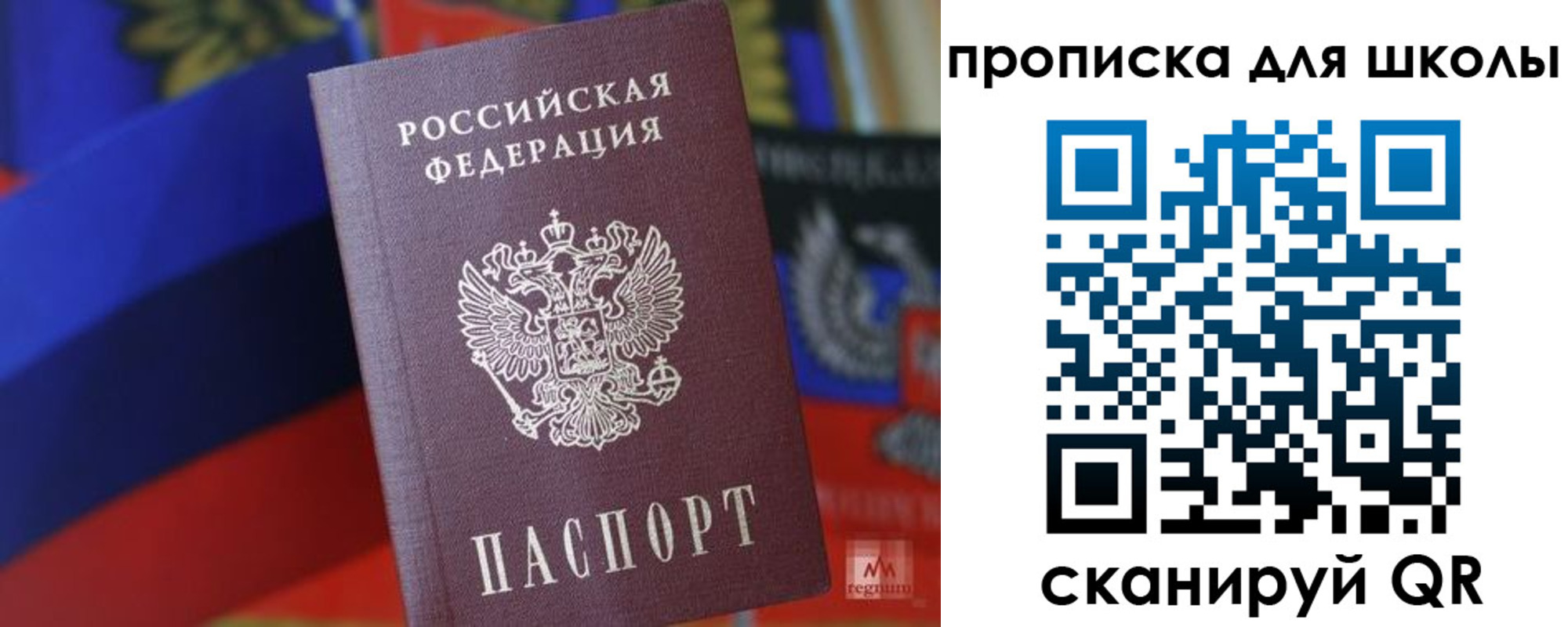 временная регистрация поиск в Владимирской области